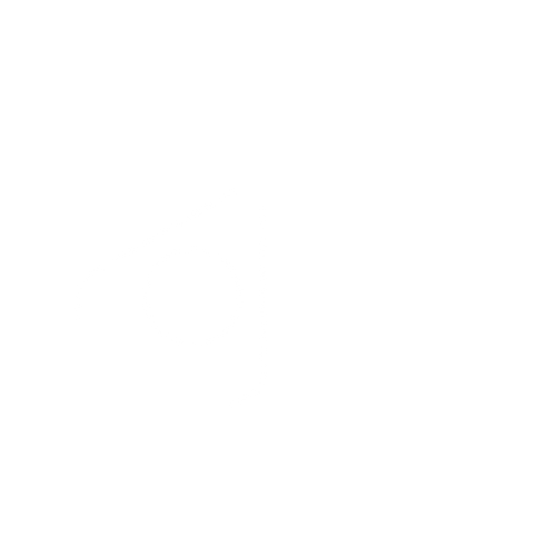Silver Grain Darkroom